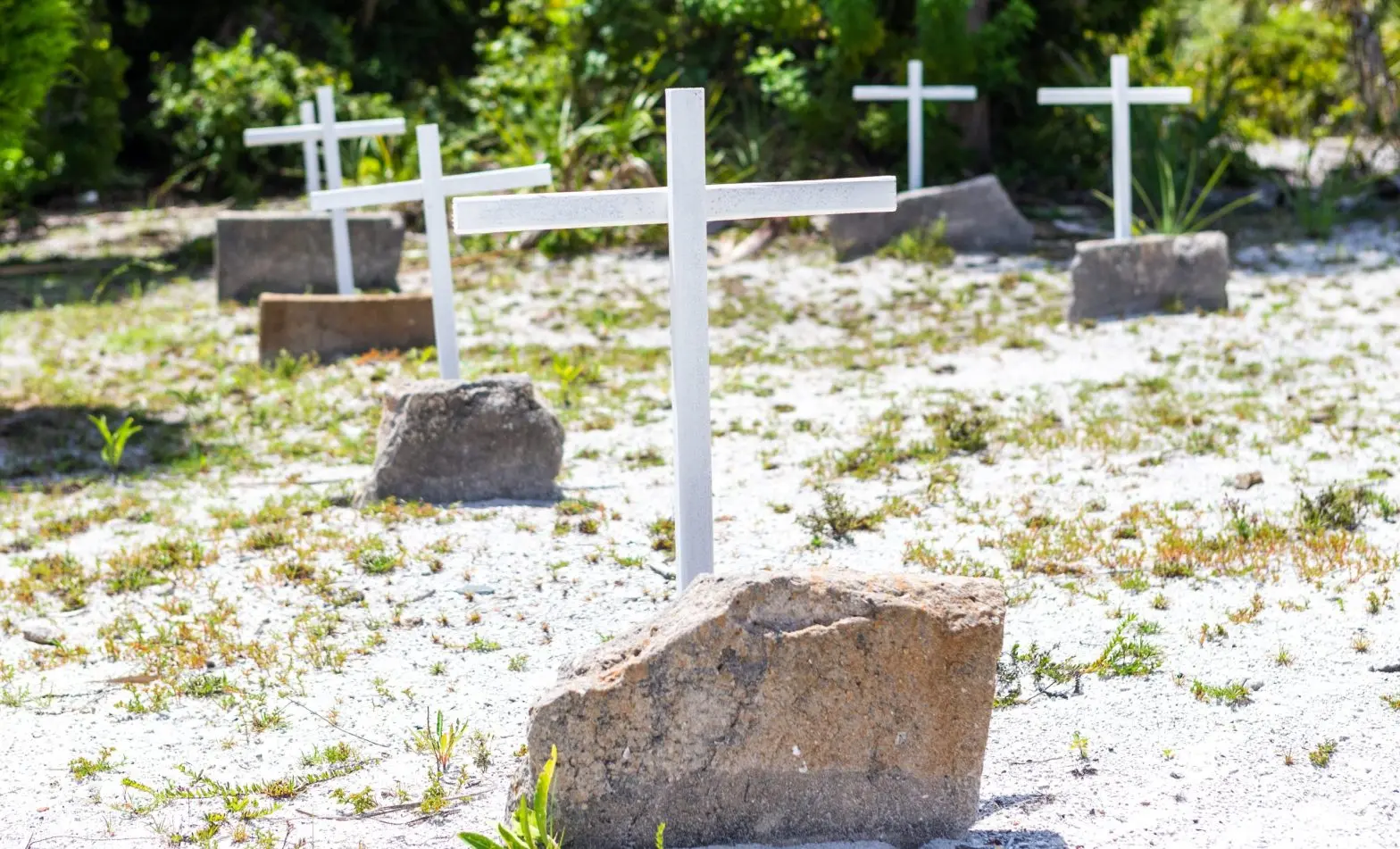 Island Impermanent, Part 1 Erosion and Erasure on Egmont Key